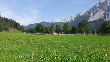 Ein Feld mit Bäumen und einem Gebirgszug im Hintergrund.