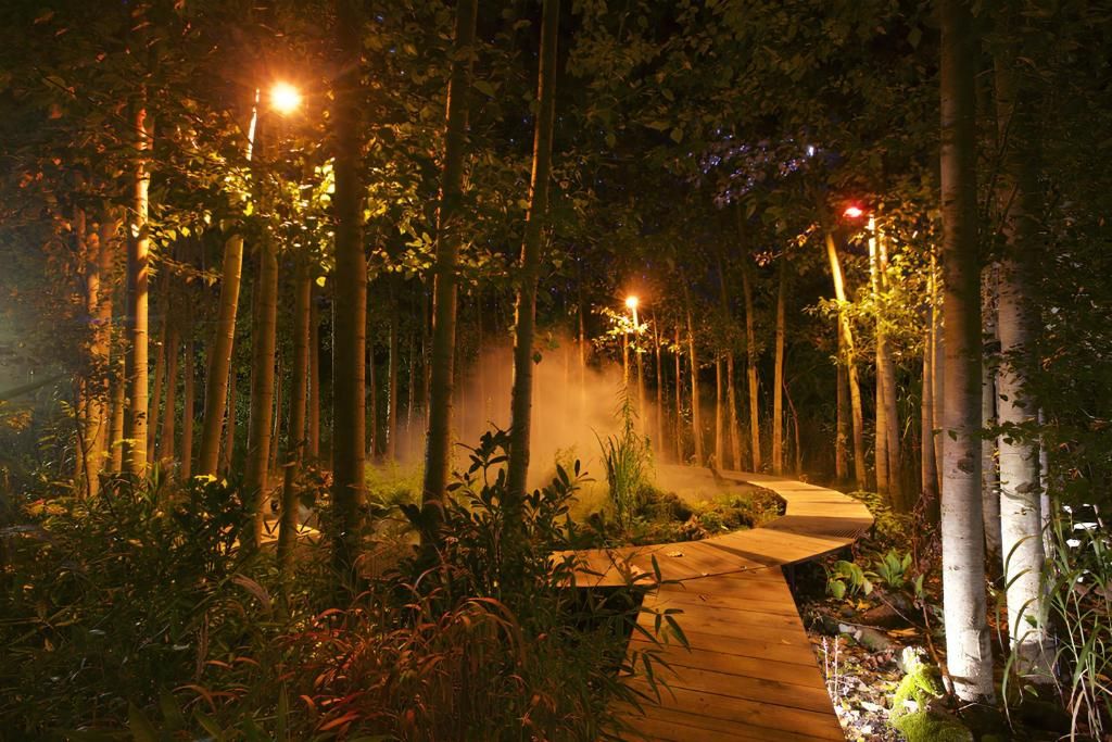 A nighttime forest scene with a wooden pathway and street lamps.