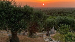 A sunset over a landscape with olive trees and a stone wall. - Agriturismo Monte Adamo (Conversano)