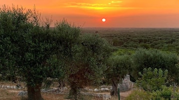 Pemandangan dari hartanah