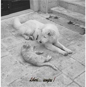 Unclassified image, 5 of 7, button - Agriturismo Monte Adamo (Conversano)