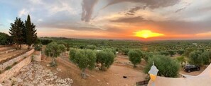 Unclassified image, 5 of 6, button - Agriturismo Monte Adamo (Conversano)