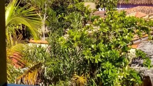 Property grounds - Pousada Oceano (Porto Seguro)