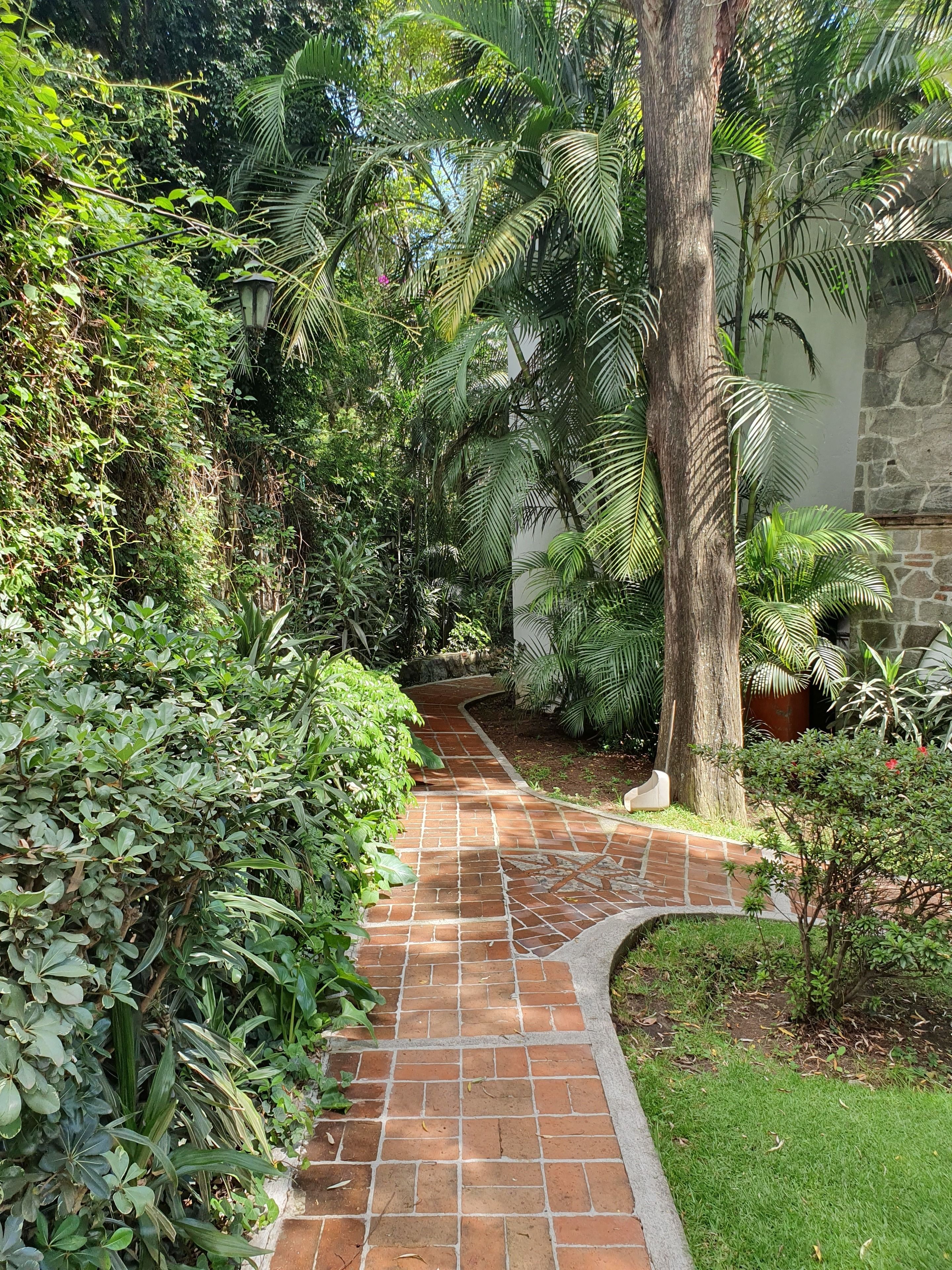 Foto - Casa de las Conchas Cuernavaca