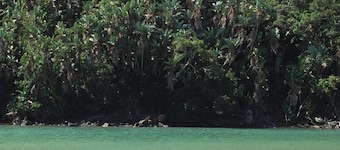 Ocean Dreams Bed & Breakfast