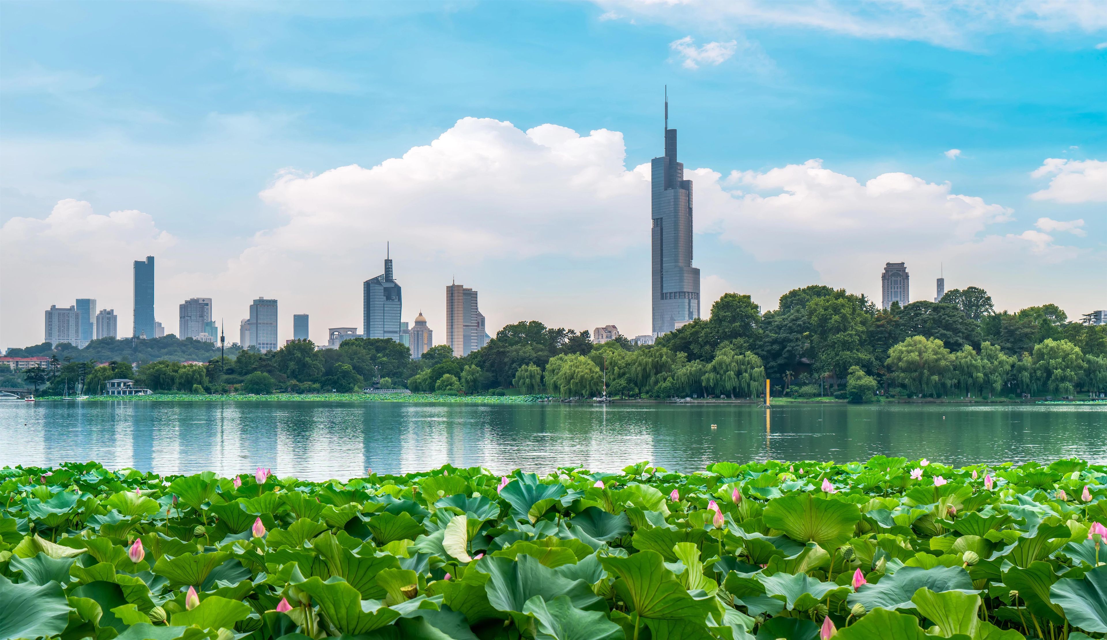 Un paisaje urbano con un rascacielos destacado, un cuerpo de agua con flores de loto y un cielo despejado.