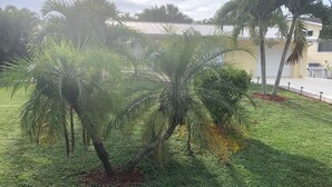 Superior-Bungalow | Blick auf den Garten