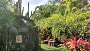 Um jardim com uma gaiola de pássaros, uma pequena mesa com plantas em vasos e diversas plantas tropicais.