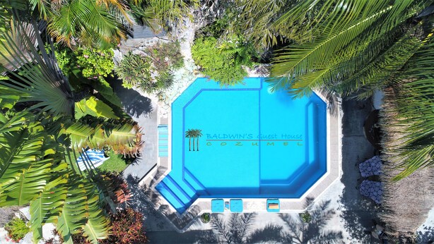 Vista aérea de uma piscina cercada por vegetação tropical exuberante.