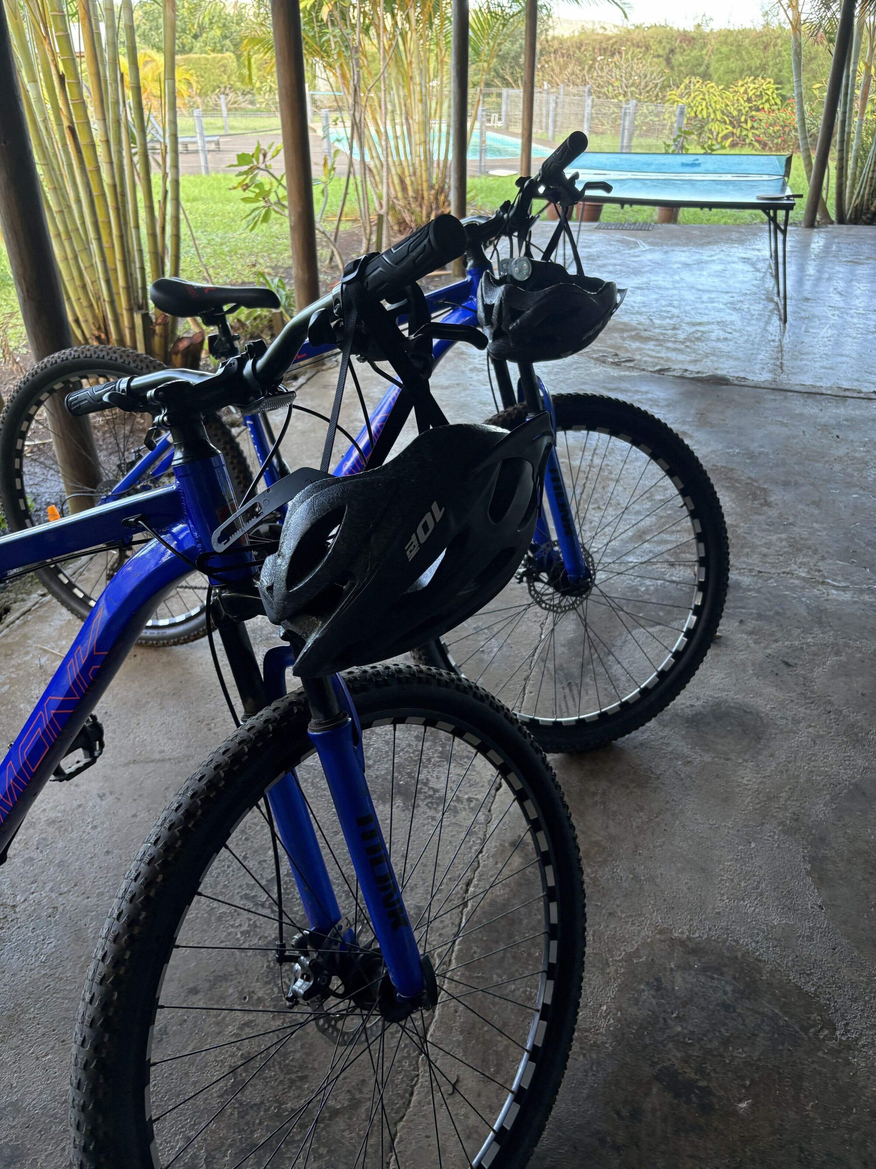 Una bicicleta azul con un casco negro y una botella de agua, estacionada en un interior con piso de concreto y vista a un parque con un banco y árboles.