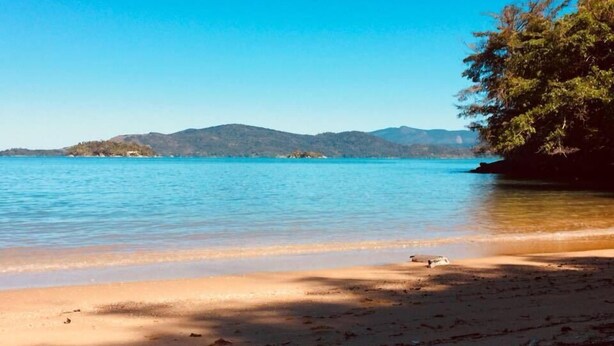 Una playa con agua azul cristalina, una orilla arenosa y una línea de árboles al fondo.