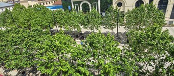 プリシュティナ センター ホステル