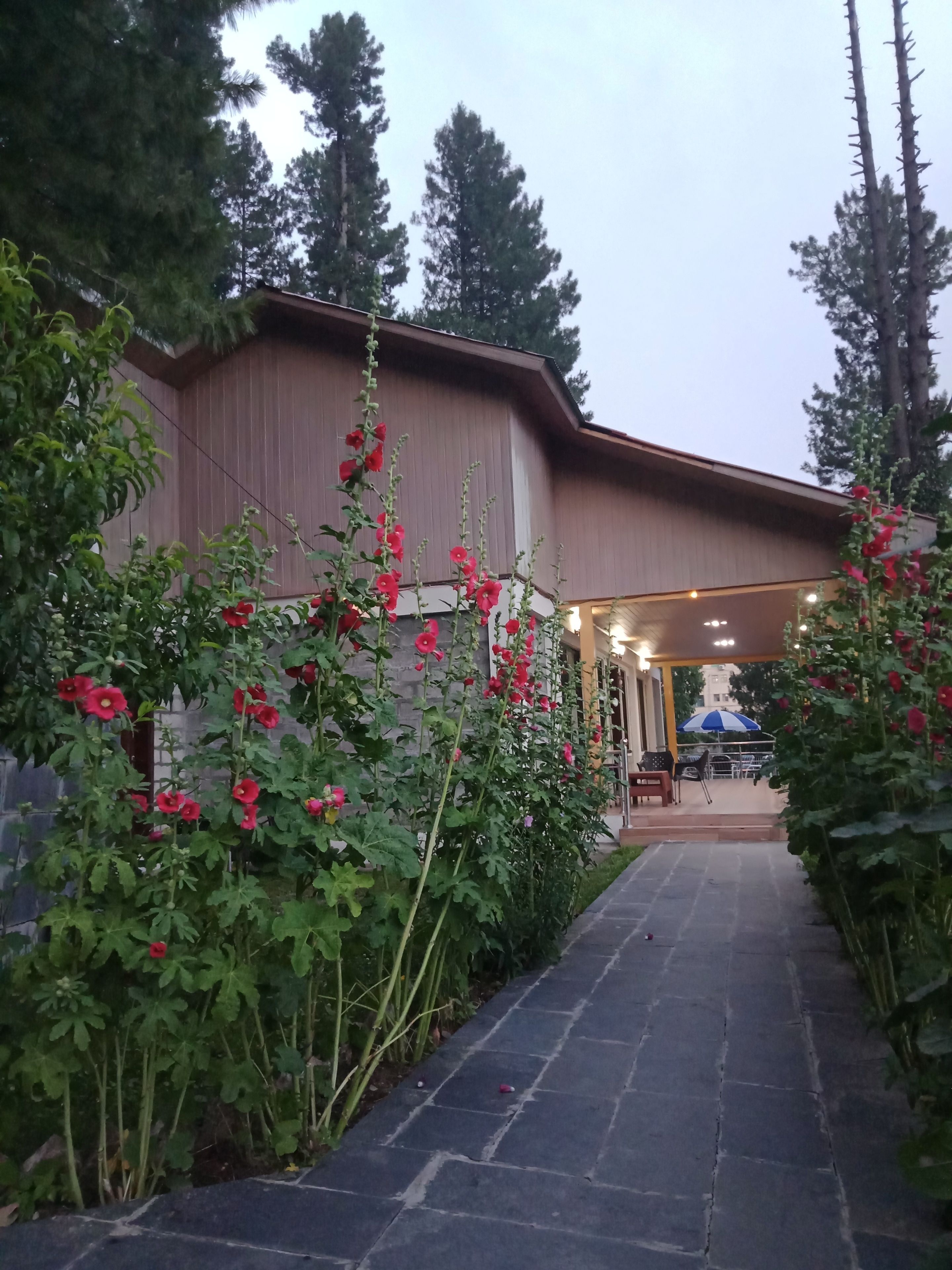 Executive Cottage | 2 bedrooms, individually furnished, laptop workspace, rollaway beds