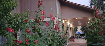 Shimla resort and rest house