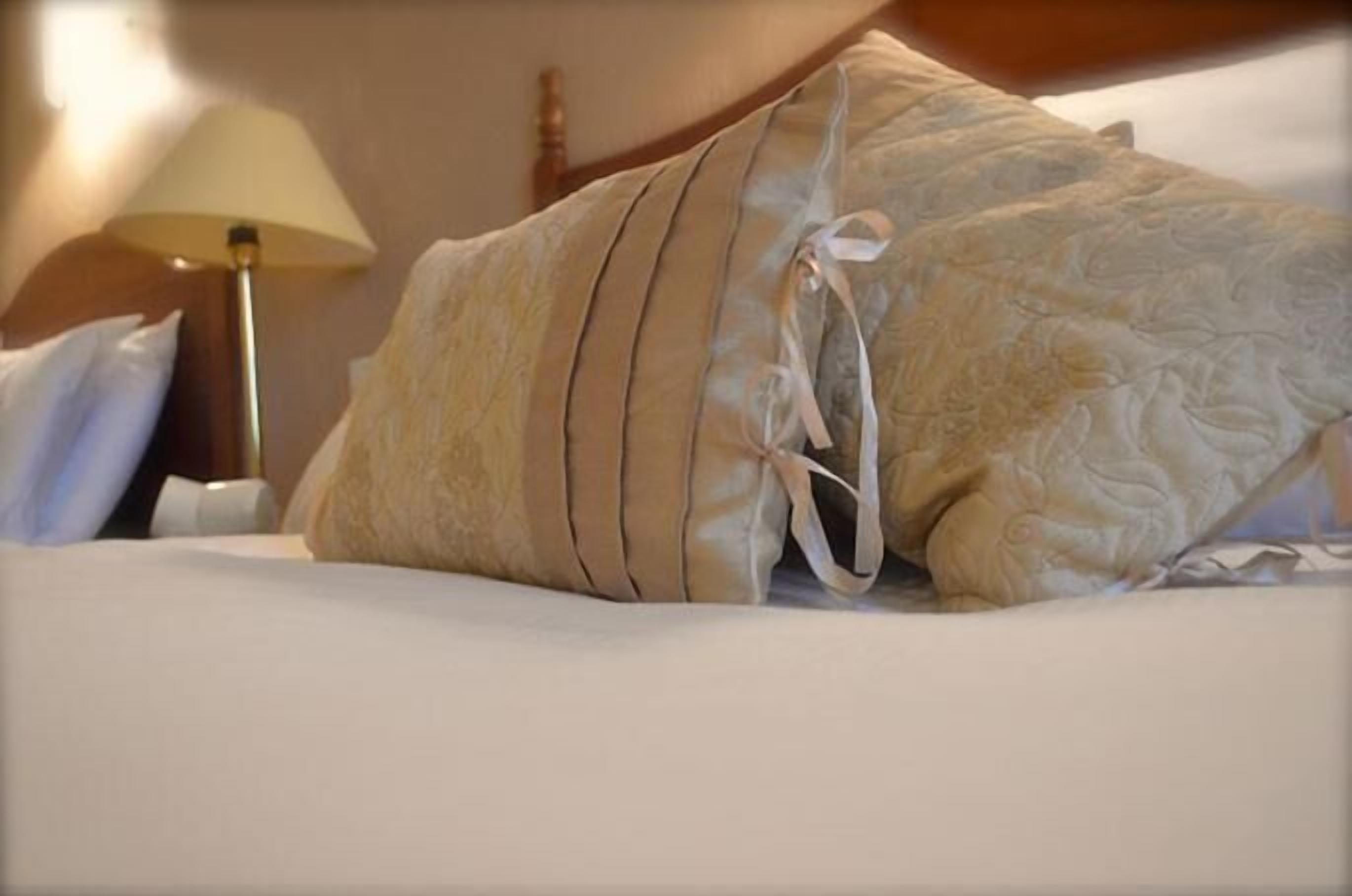 free wifi, bed sheets, wheelchair access