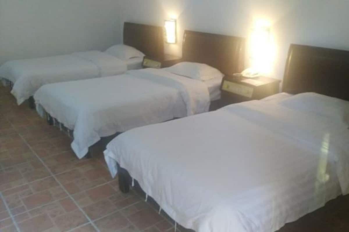 Triple Room | Desk, blackout drapes, free WiFi, bed sheets