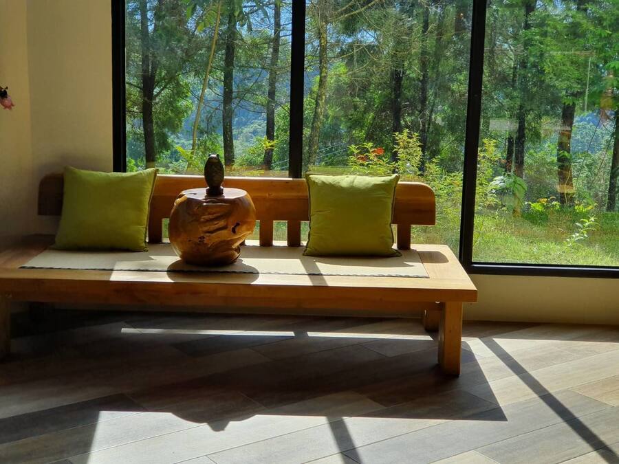 Un banc en bois, agrémenté de deux coussins verts et d’un vase décoratif placé au centre, est disposé devant une grande fenêtre donnant sur une forêt.