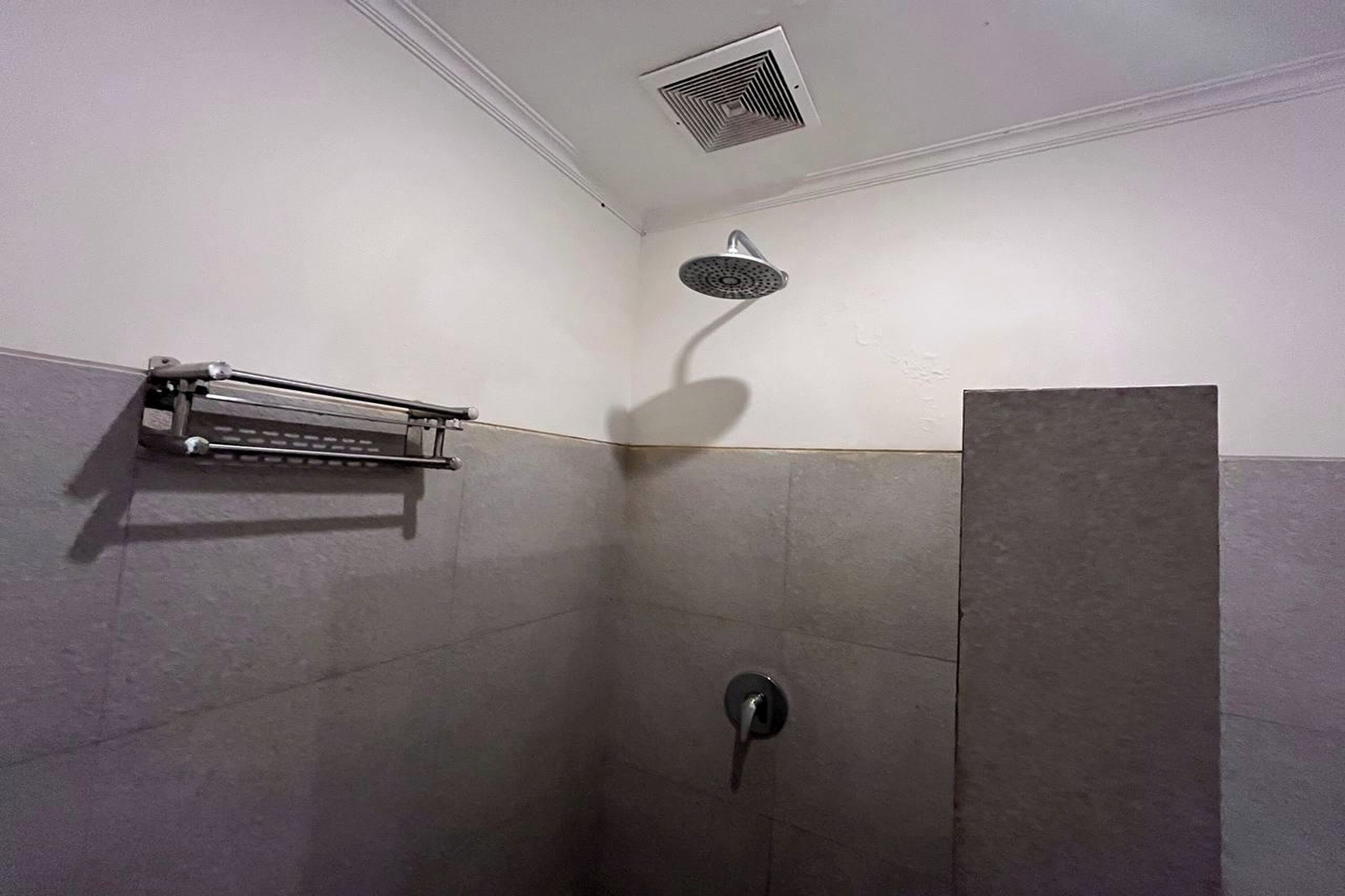 Een douche met een handdouche, een handdoekhouder en een ventilatie rooster in het plafond.