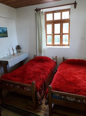 Kahden hengen tavanomainen huone (kaksi sänkyä) | Pimennysverhot, silitysrauta/-lauta, lisävuoteet, vuodevaatteet