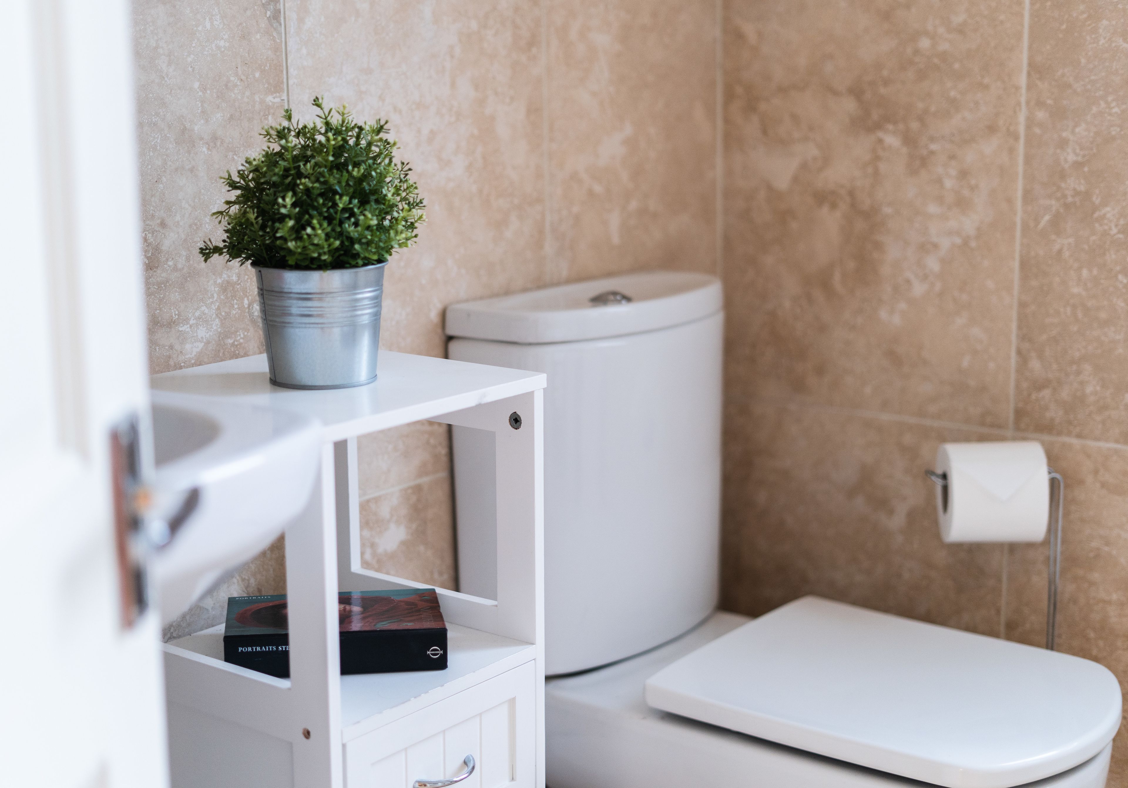 A bathroom with a white toilet, a white sink, and a small shelf with a potted plant.