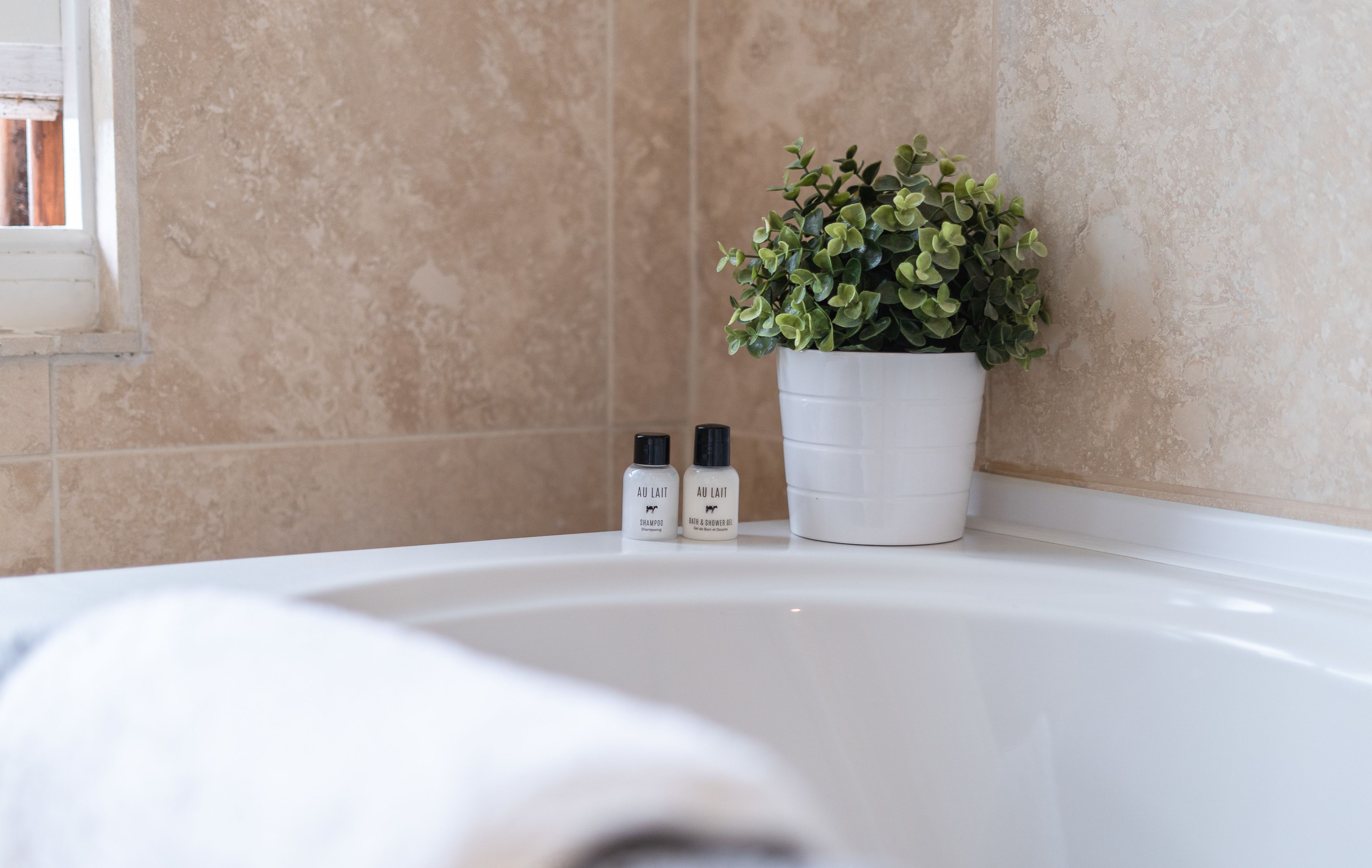 A bathroom with a bathtub, a potted plant, and two bottles of shampoo.