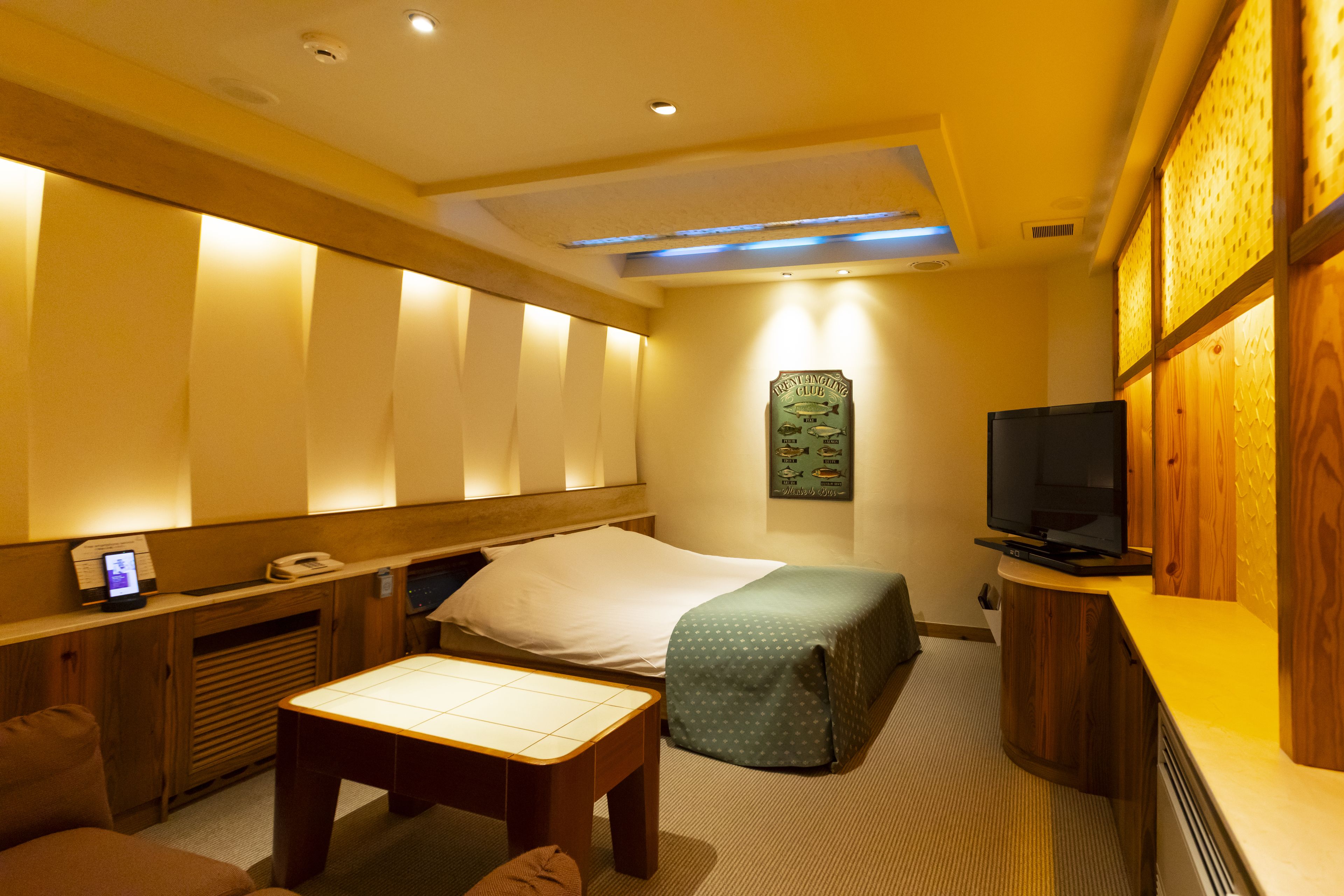 Una habitación de hotel con una cama, un escritorio, un televisor y una obra de arte colgada en la pared.