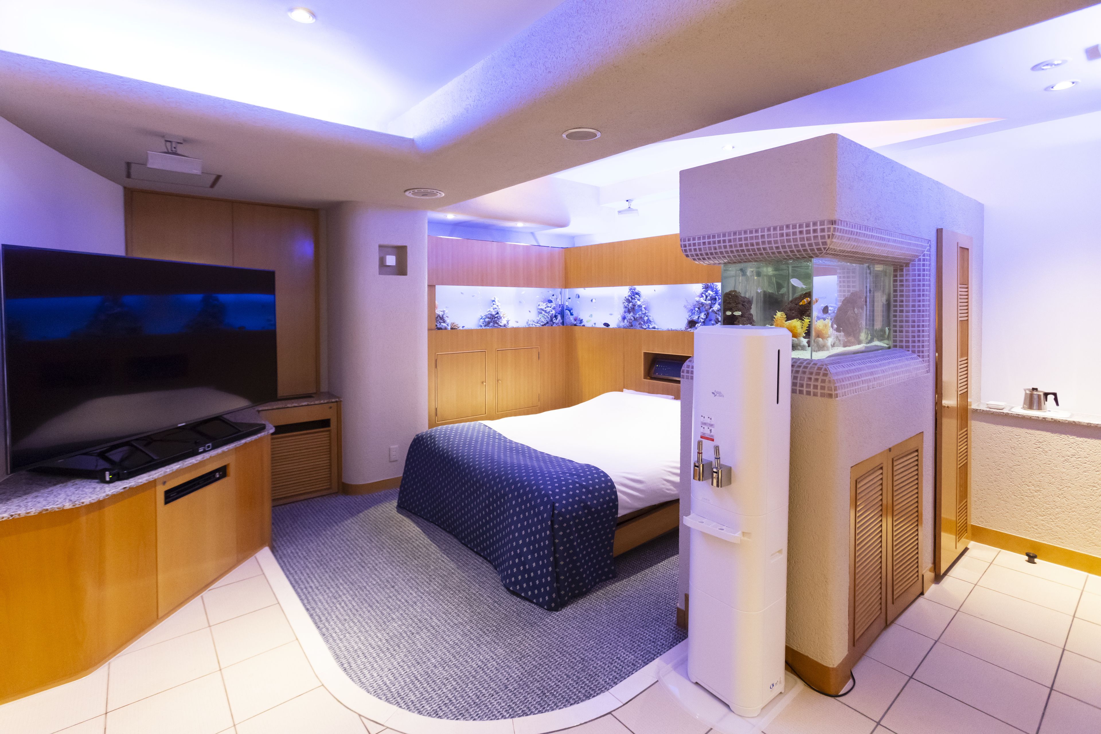 A compact hotel room with a bed, a small desk, a television, and a built-in aquarium.