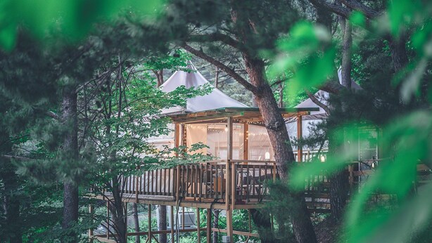 A treehouse with a wooden deck and a glass enclosure, surrounded by dense forest. - Couplestar in Forest Glamping (Hoengseong)