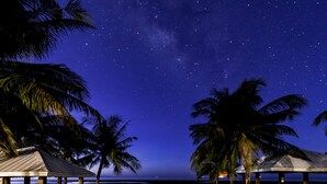 A beach with palm trees and a starry night sky. - Coralview Beach Resort (Morong)