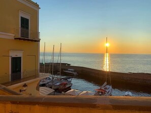 Vista desde la propiedad