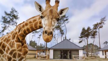 Bagian depan properti