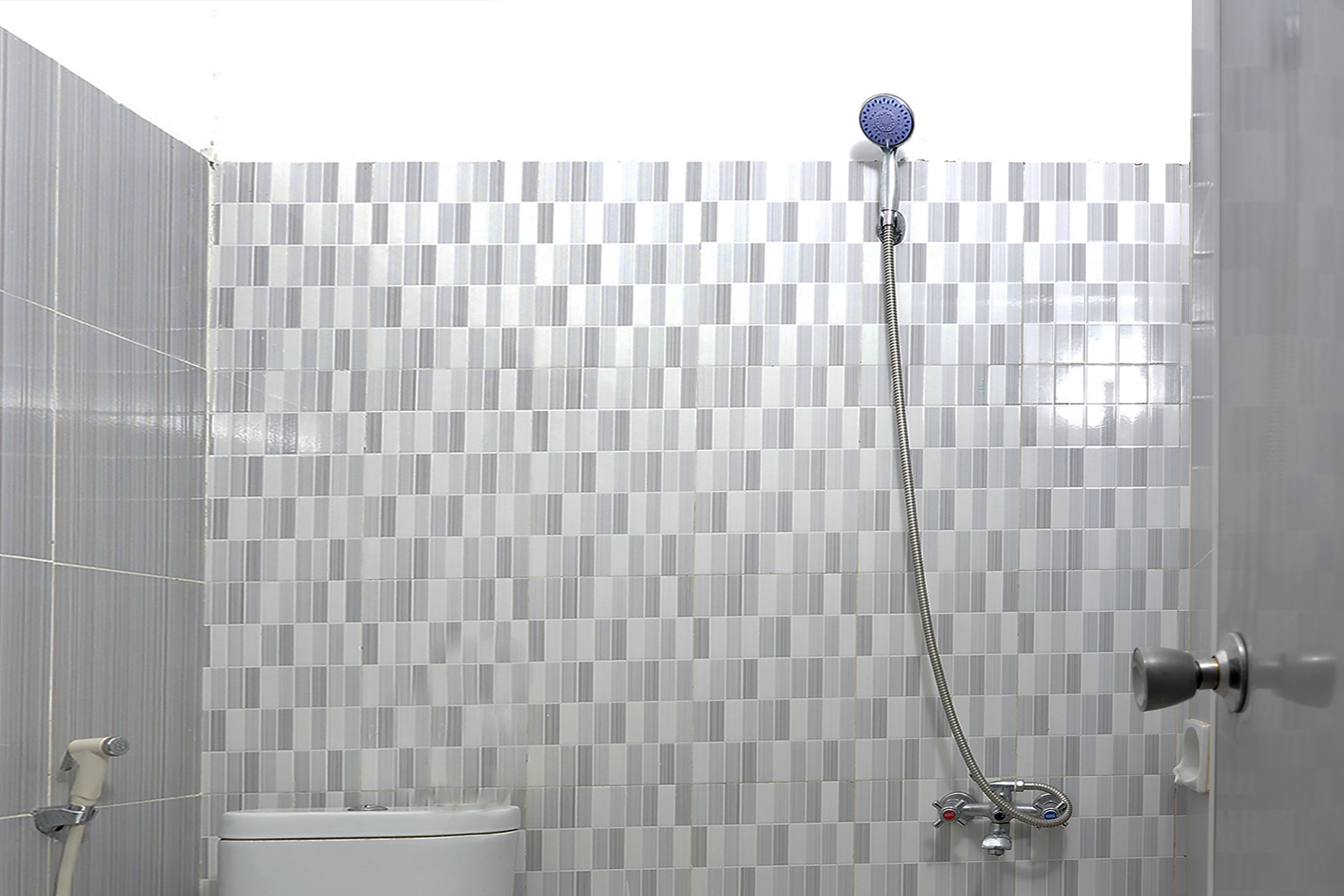 Une salle de bain avec un mur de douche carrelé, des toilettes et une douchette à main.
