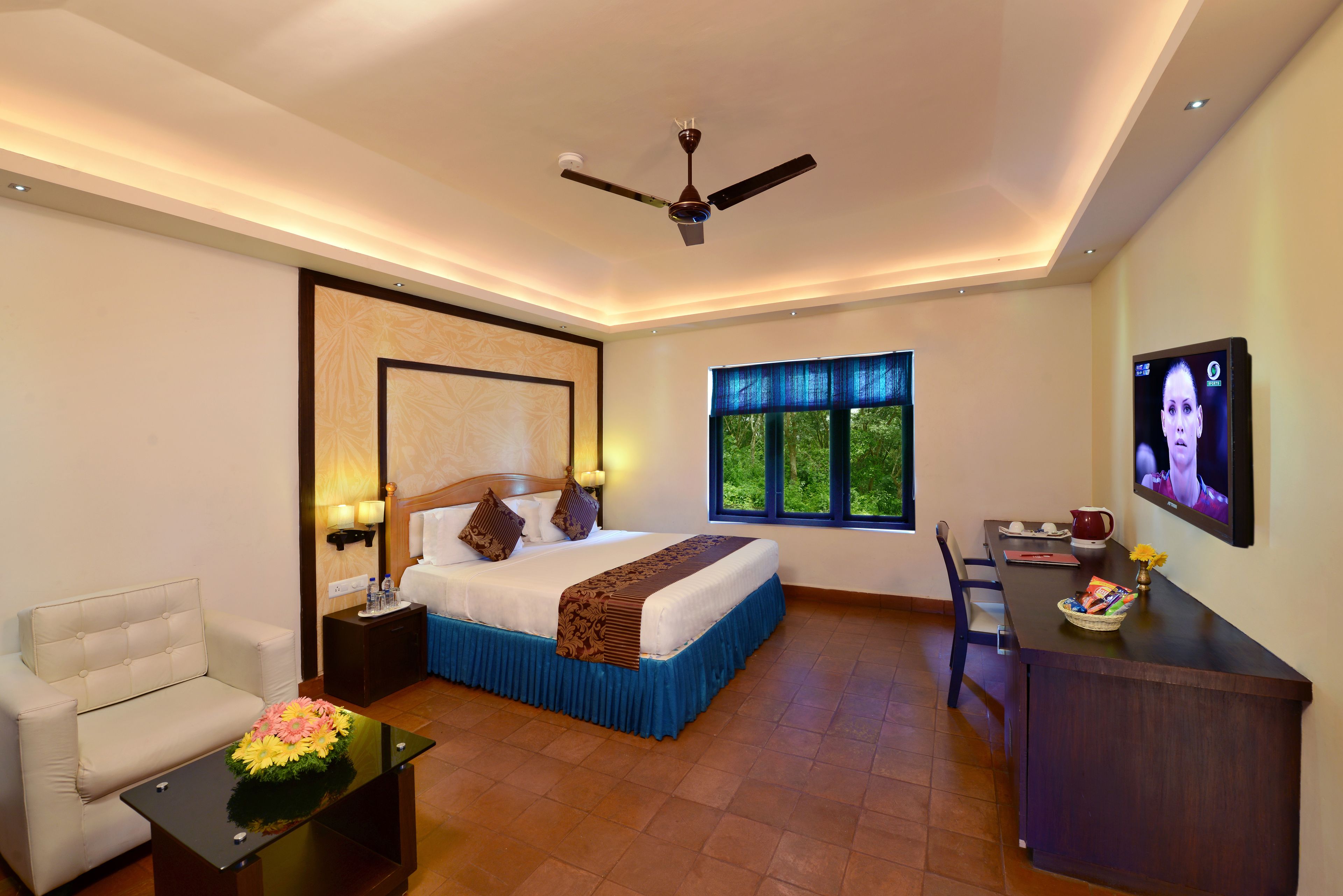 A hotel room with a bed, a desk, a TV, and a sofa.