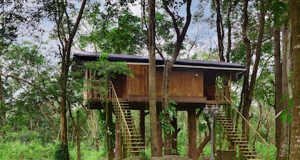 Eco Garden Resort & Heritage Cheruthuruthy