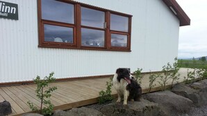 Ein Gebäude mit einer Holzterrasse und einem Hund, der auf Steinen davor sitzt.