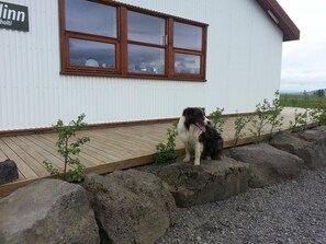 Pet-friendly - Skálinn between Gullfoss and Geysir – Myrkholt Farm (Selfoss)