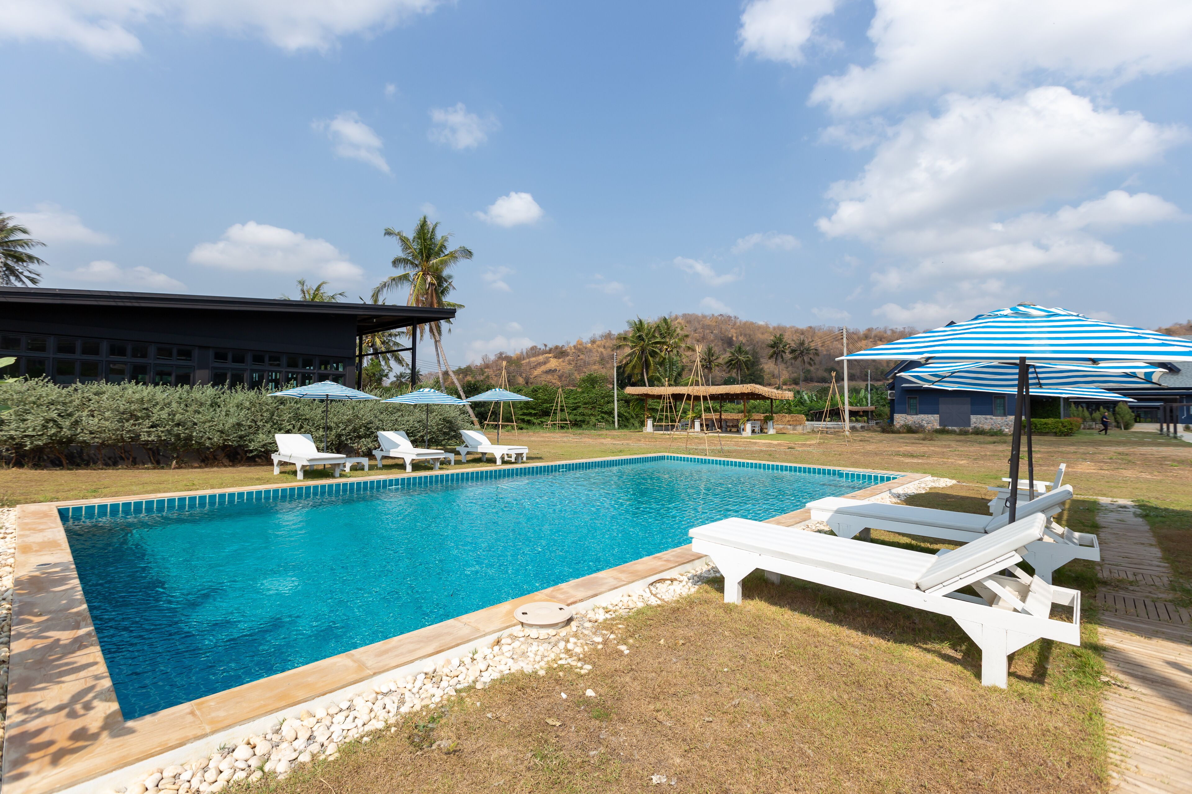 A swimming pool with lounge chairs and umbrellas, surrounded by a landscaped area with palm trees and a building in the background.