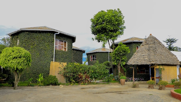 A house with ivy-covered walls, a thatched-roof structure, and a garden with potted plants. - Dan Stam Hotel (Arusha)