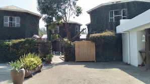 A residential area with houses covered in ivy, a gravel driveway, and potted plants. - Dan Stam Hotel (Arusha)