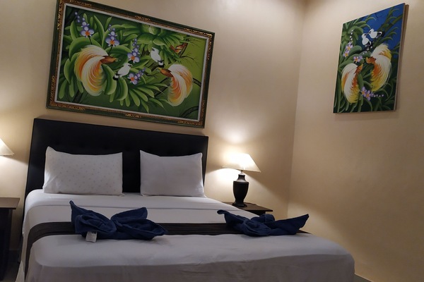 Muebles diferentes, escritorio y camas plegables/adicionales