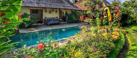 Outdoor pool, pool loungers