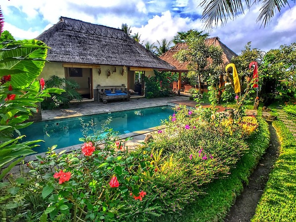 室外游泳池,日光浴躺椅