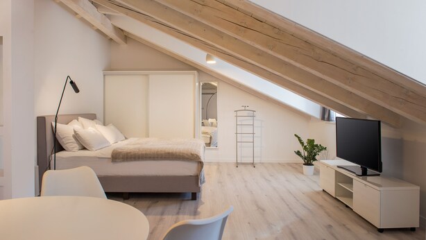 Une chambre à coucher moderne avec un lit, une table de chevet, une télévision et une plante en pot.