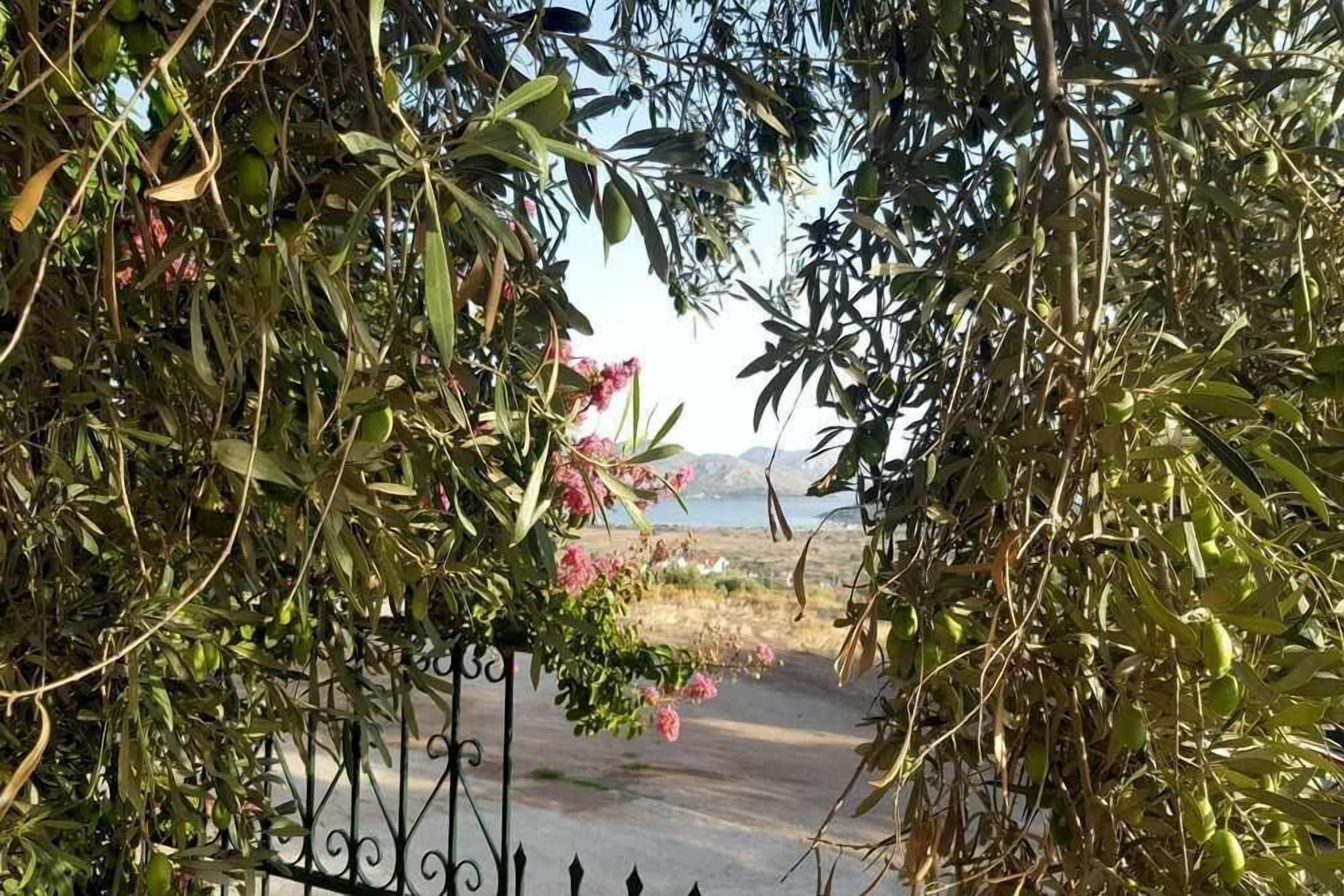 Vista a través de una reja de hierro forjado, con olivos y flores rosadas, que da a un paisaje costero con montañas al fondo.