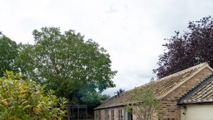 A courtyard with a brick building, a tree, and a lavender bush. - MJP @ The Shepherds (Cambridge)