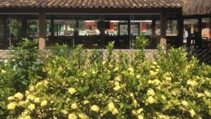 Un espacio al aire libre techado con tejas, rodeado de follaje.