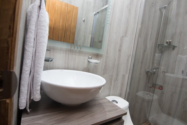 Twin Room (4) | Bathroom | Shower, rainfall showerhead, free toiletries, hair dryer - Lucia Agustina Hotel Boutique (Santiago)