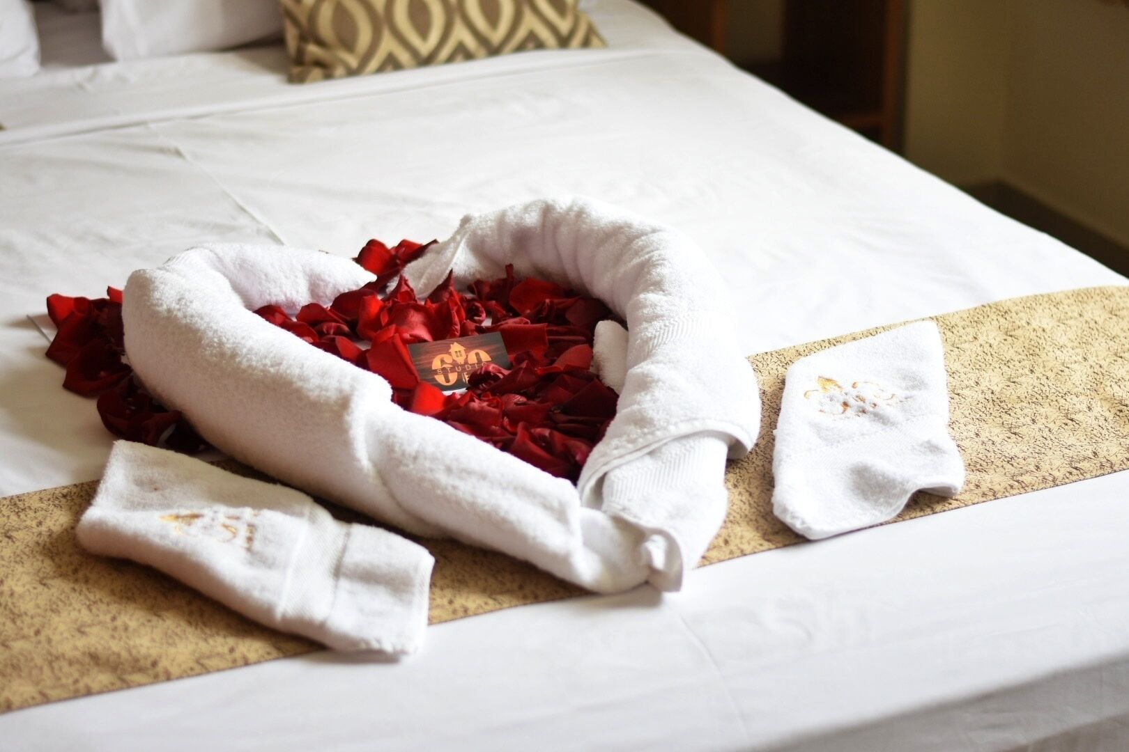 Foto - Studio 69 Aparthotel