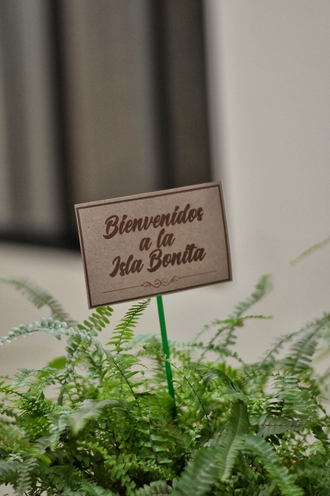 Foto - Studio 69 Aparthotel