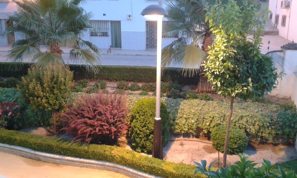 Ein angelegter Garten mit verschiedenen Sträuchern und einer Straßenlaterne.